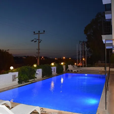 Papillon Hotel فندق 3*