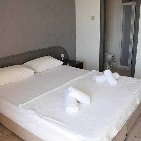 Papillon Hotel فندق