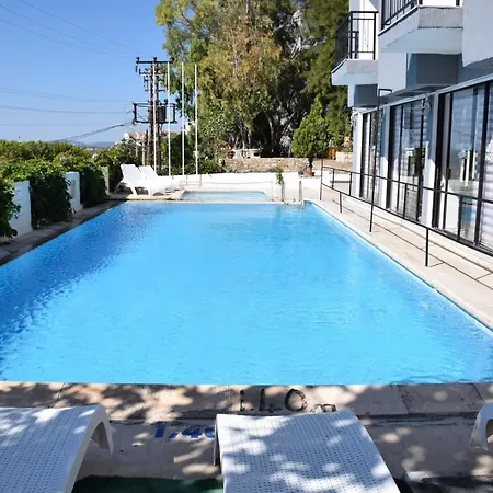 Papillon Hotel فندق 3*