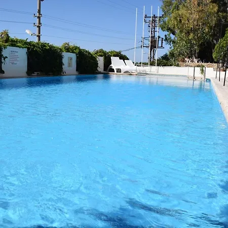 Papillon Hotel فندق