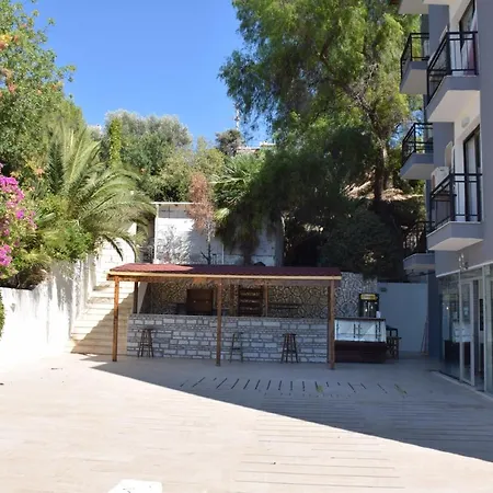 Papillon Hotel فندق 3*